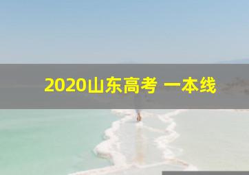 2020山东高考 一本线